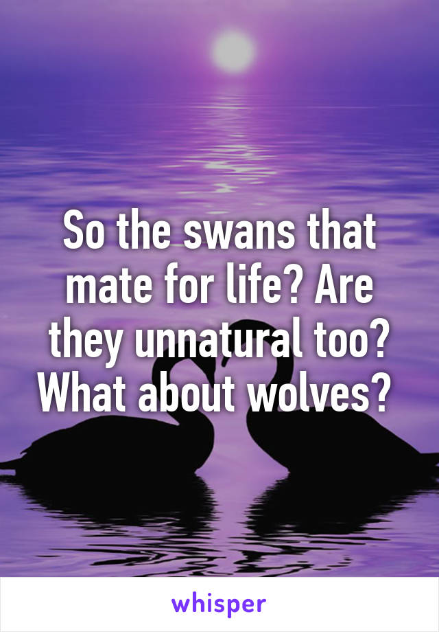 So the swans that mate for life? Are they unnatural too? What about wolves? 