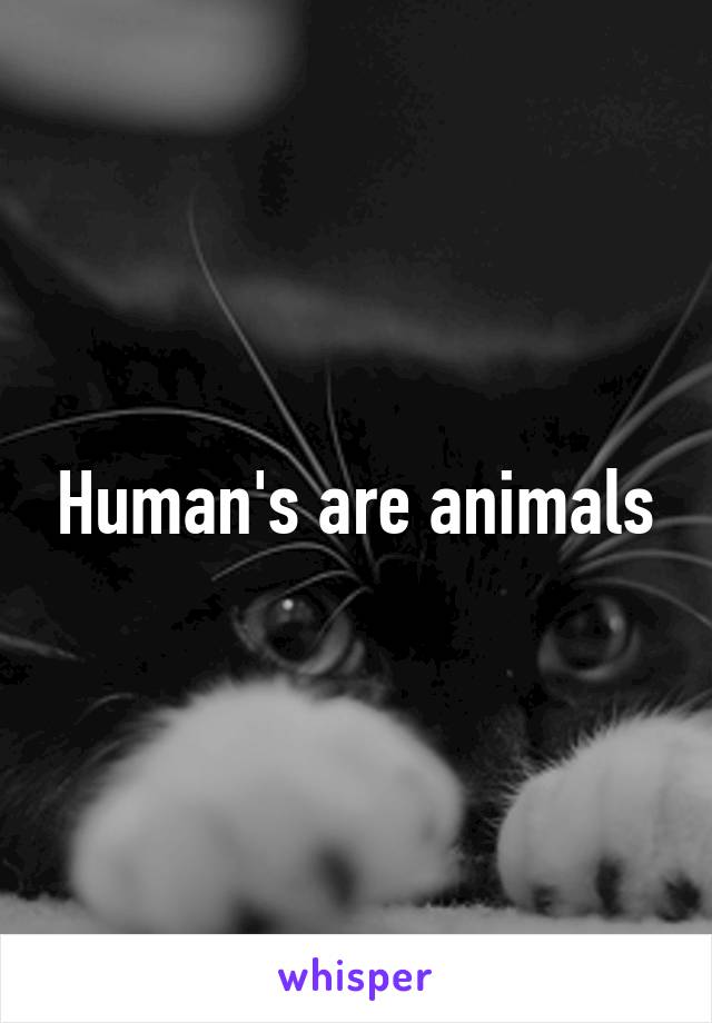 Human's are animals