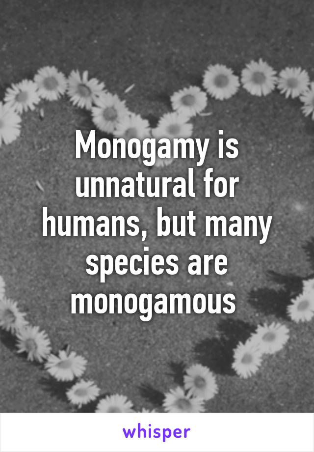 Monogamy is unnatural for humans, but many species are monogamous 