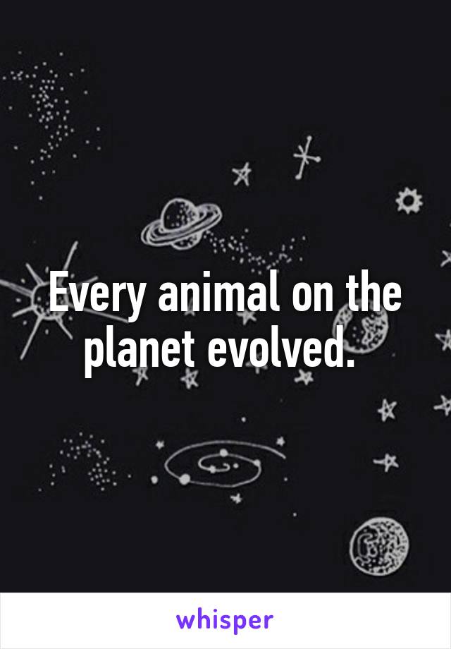 Every animal on the planet evolved. 