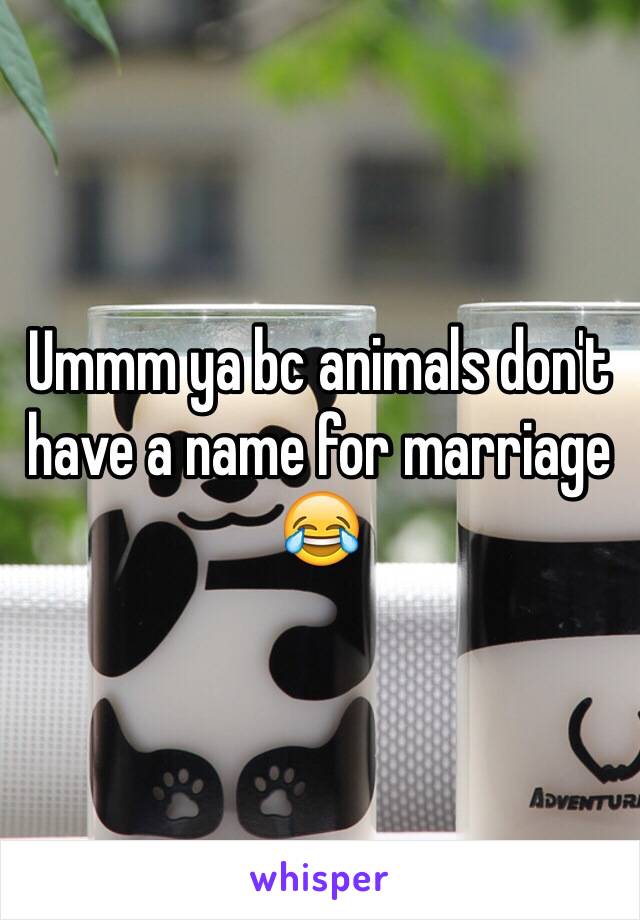 Ummm ya bc animals don't have a name for marriage 😂 