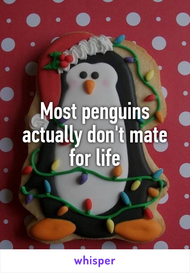 Most penguins actually don't mate for life