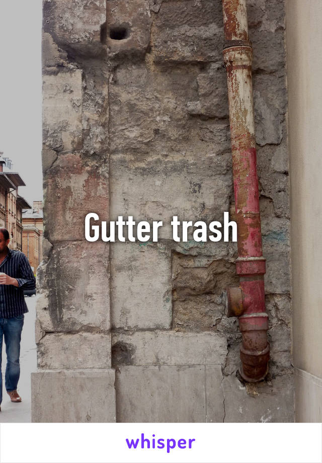 Gutter trash