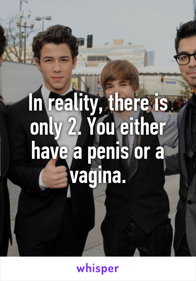 In reality, there is only 2. You either have a penis or a vagina.