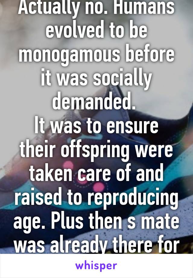 Actually no. Humans evolved to be monogamous before it was socially demanded. 
It was to ensure their offspring were taken care of and raised to reproducing age. Plus then s mate was already there for the next offspring 