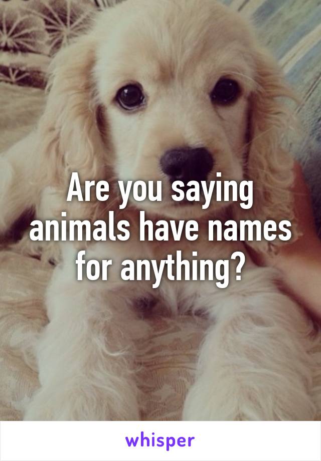 Are you saying animals have names for anything?