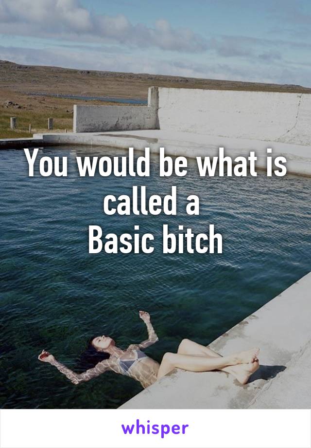 You would be what is called a 
Basic bitch
