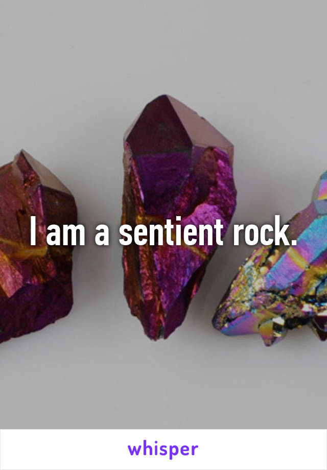 I am a sentient rock.