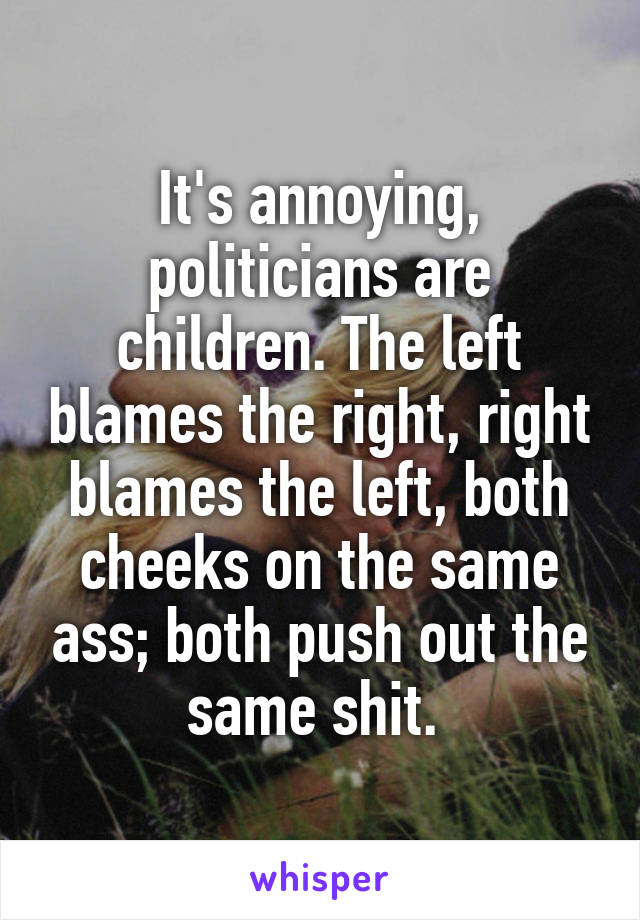 It's annoying, politicians are children. The left blames the right, right blames the left, both cheeks on the same ass; both push out the same shit. 