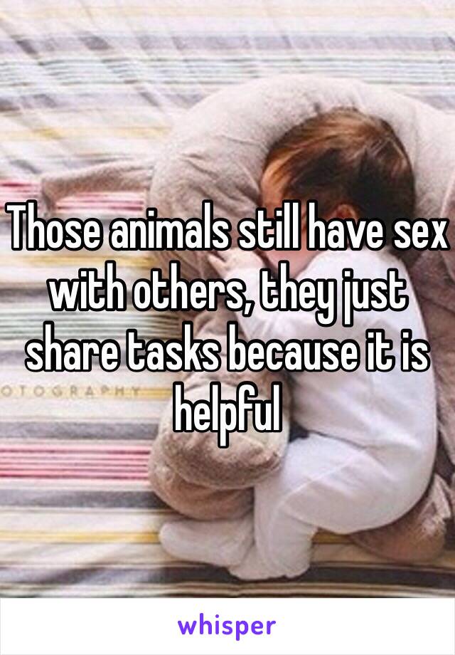 Those animals still have sex with others, they just share tasks because it is helpful