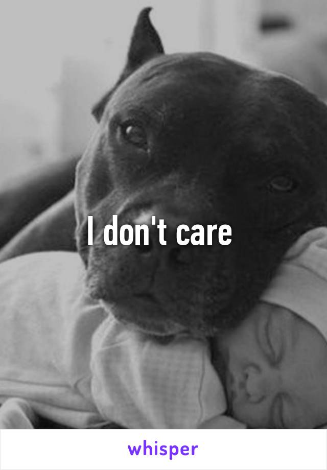 I don't care 