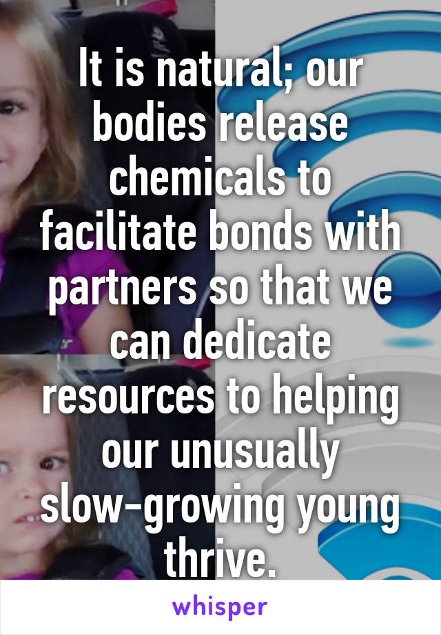 It is natural; our bodies release chemicals to facilitate bonds with partners so that we can dedicate resources to helping our unusually slow-growing young thrive.