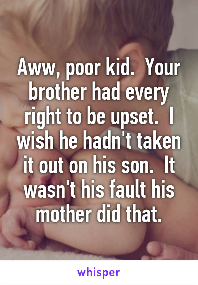 Aww, poor kid.  Your brother had every right to be upset.  I wish he hadn't taken it out on his son.  It wasn't his fault his mother did that.