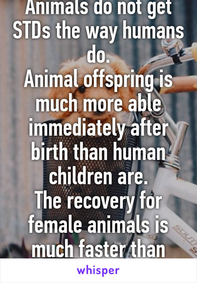 Animals do not get STDs the way humans do.
Animal offspring is much more able immediately after birth than human children are.
The recovery for female animals is much faster than human females.