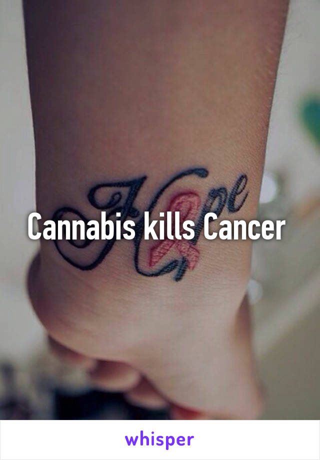 Cannabis kills Cancer 