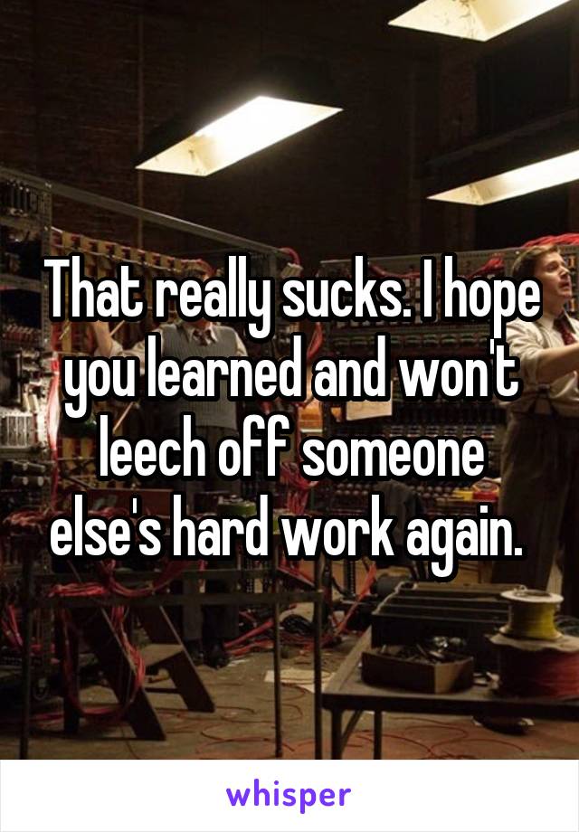 That really sucks. I hope you learned and won't leech off someone else's hard work again. 