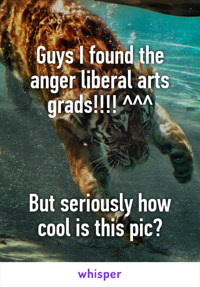 Guys I found the anger liberal arts grads!!!! ^^^



But seriously how cool is this pic?