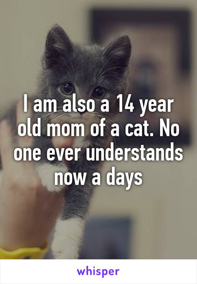 I am also a 14 year old mom of a cat. No one ever understands now a days