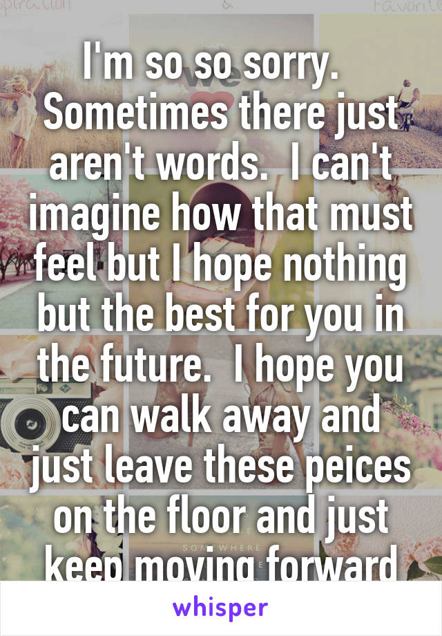 I'm so so sorry.   Sometimes there just aren't words.  I can't imagine how that must feel but I hope nothing but the best for you in the future.  I hope you can walk away and just leave these peices on the floor and just keep moving forward