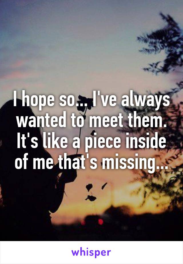 I hope so... I've always wanted to meet them. It's like a piece inside of me that's missing...