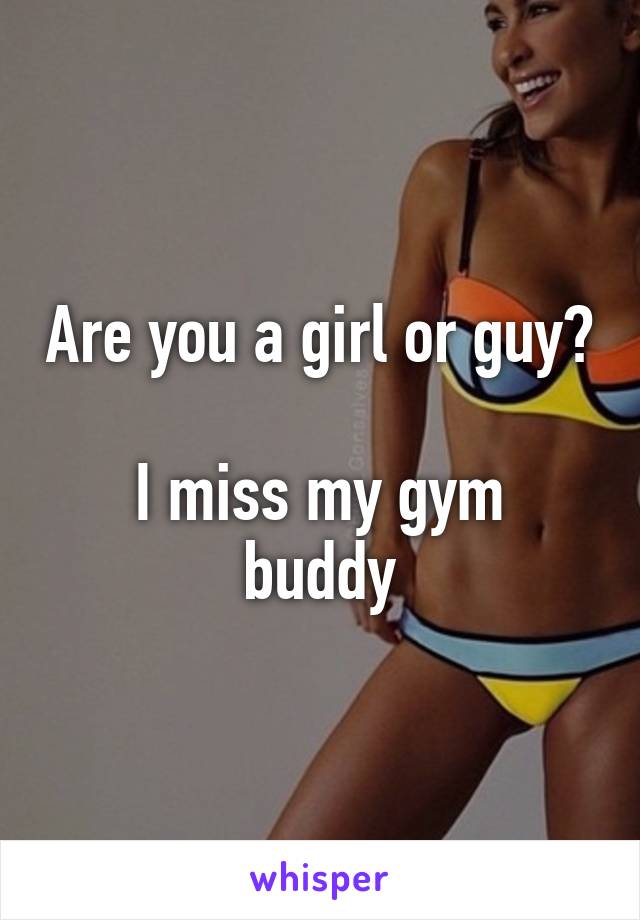 Are you a girl or guy?

I miss my gym buddy