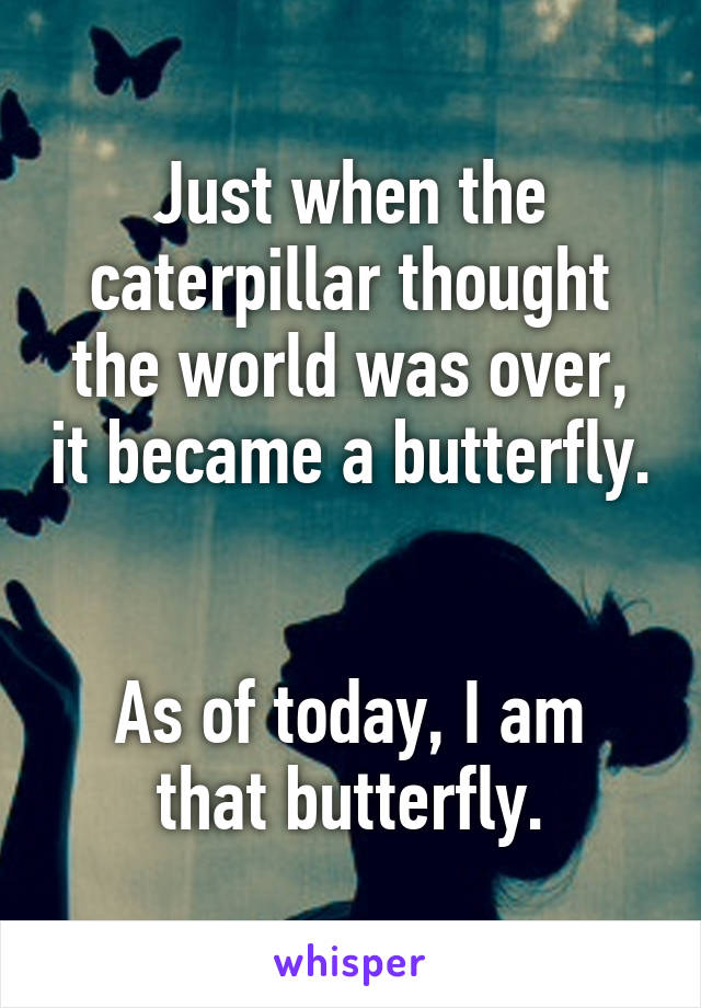 Just when the caterpillar thought the world was over, it became a butterfly.


As of today, I am that butterfly.