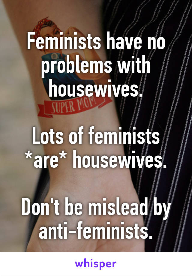 Feminists have no problems with housewives.

Lots of feminists *are* housewives.

Don't be mislead by anti-feminists.