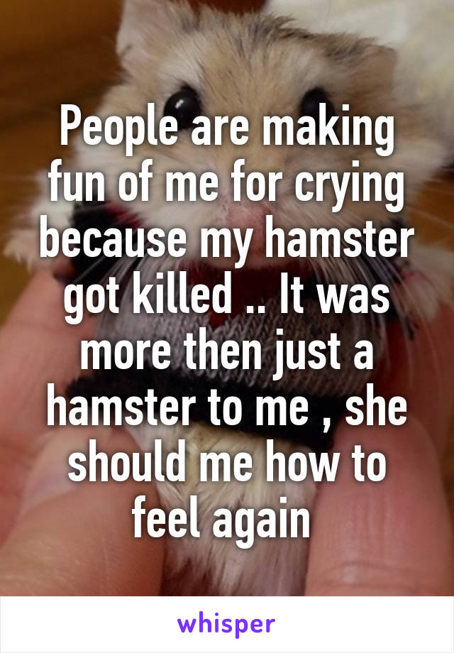 People are making fun of me for crying because my hamster got killed .. It was more then just a hamster to me , she should me how to feel again 