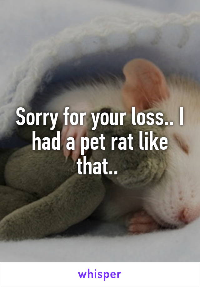 Sorry for your loss.. I had a pet rat like that.. 