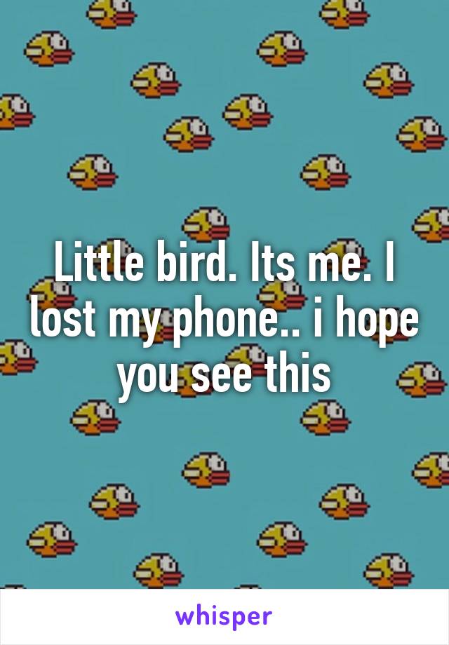 Little bird. Its me. I lost my phone.. i hope you see this
