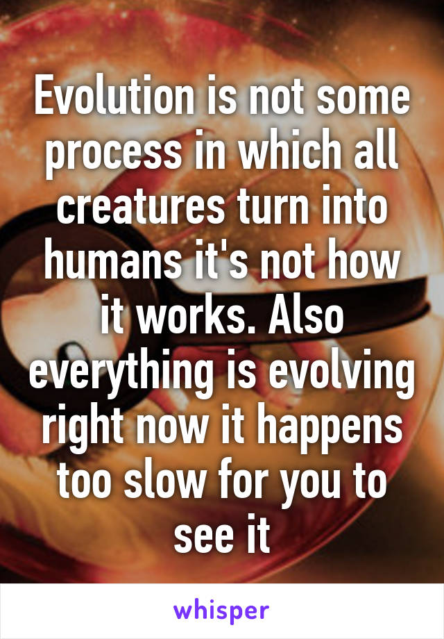 Evolution is not some process in which all creatures turn into humans it's not how it works. Also everything is evolving right now it happens too slow for you to see it