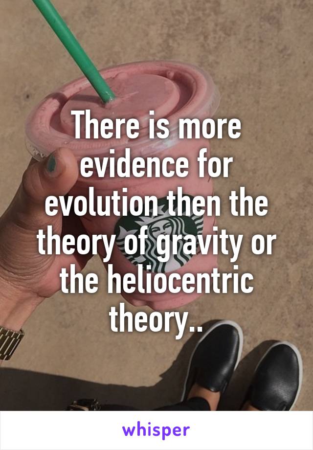 There is more evidence for evolution then the theory of gravity or the heliocentric theory..