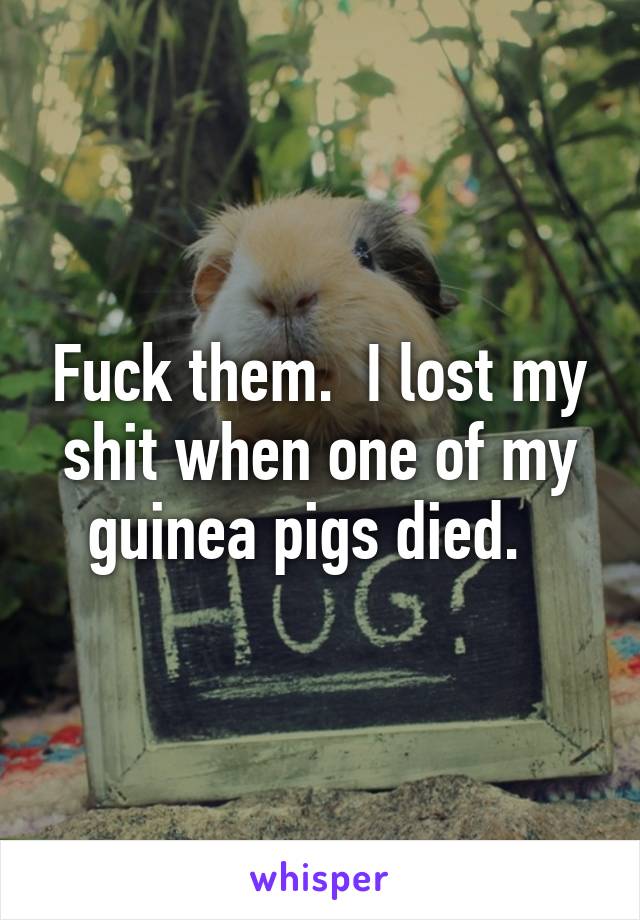 Fuck them.  I lost my shit when one of my guinea pigs died.  