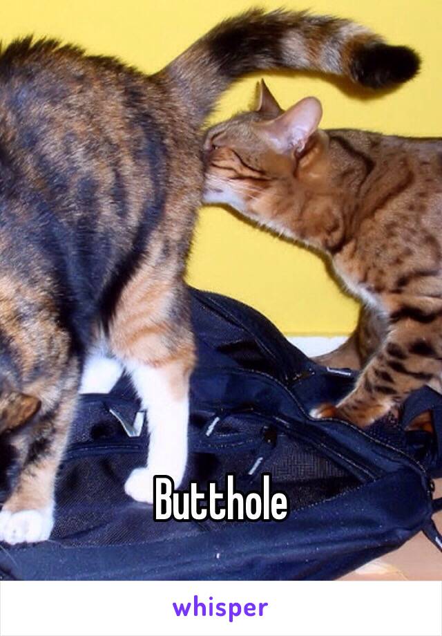 Butthole