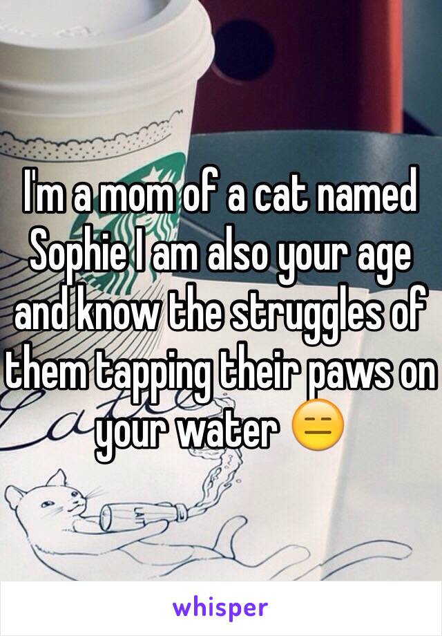 I'm a mom of a cat named Sophie I am also your age and know the struggles of them tapping their paws on your water 😑