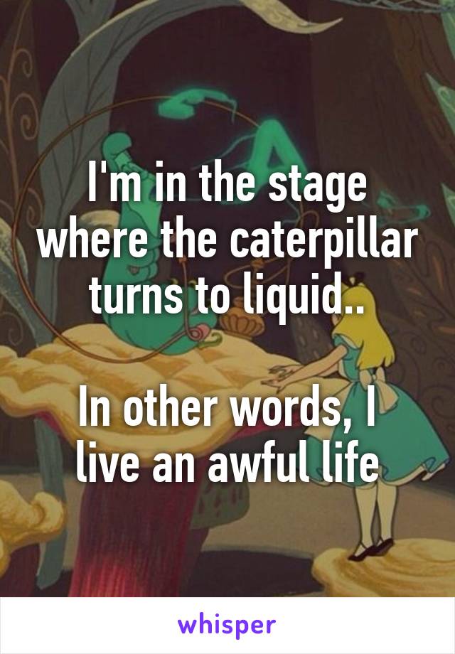 I'm in the stage where the caterpillar turns to liquid..

In other words, I live an awful life