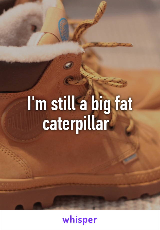 I'm still a big fat caterpillar  