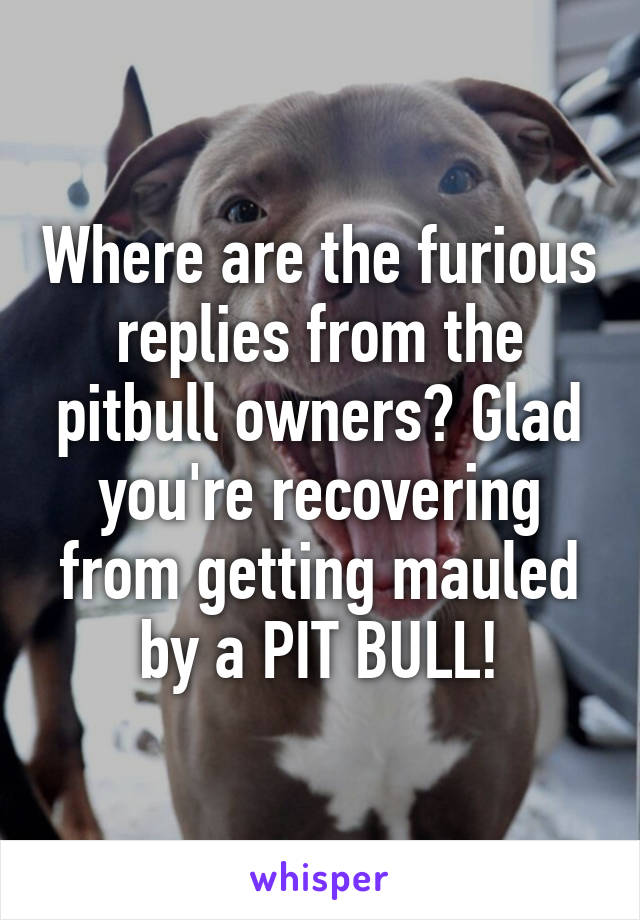 Where are the furious replies from the pitbull owners? Glad you're recovering from getting mauled by a PIT BULL!