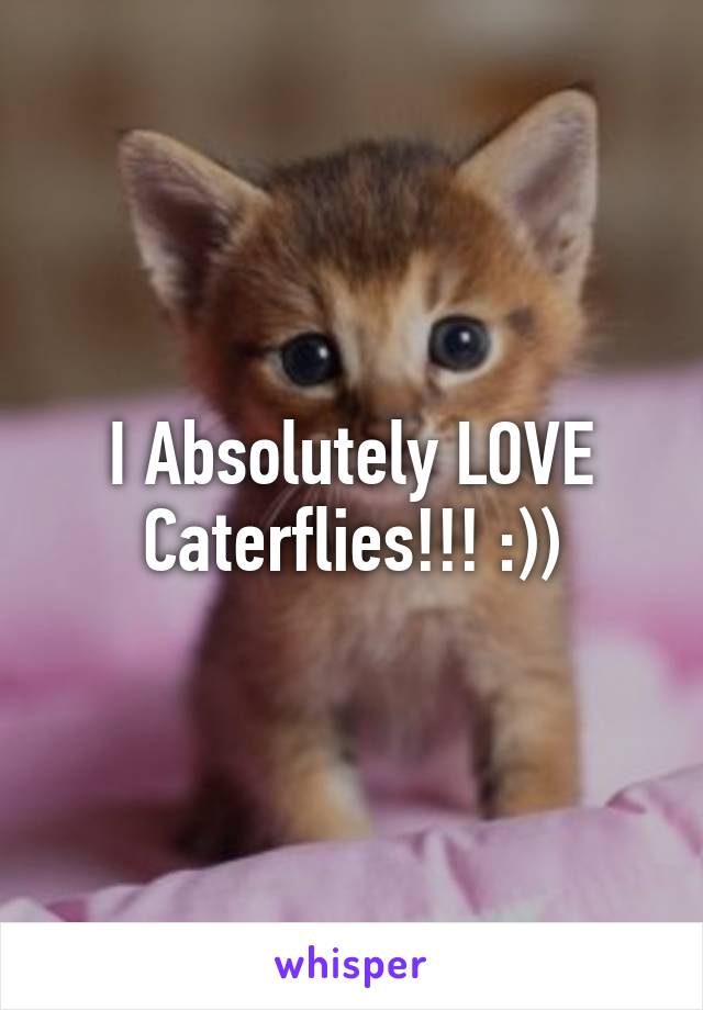 I Absolutely LOVE Caterflies!!! :))