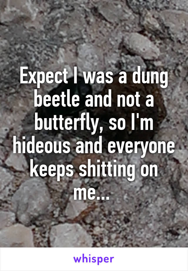 Expect I was a dung beetle and not a butterfly, so I'm hideous and everyone keeps shitting on me... 