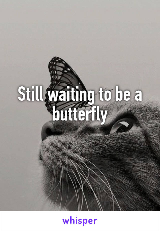 Still waiting to be a butterfly
