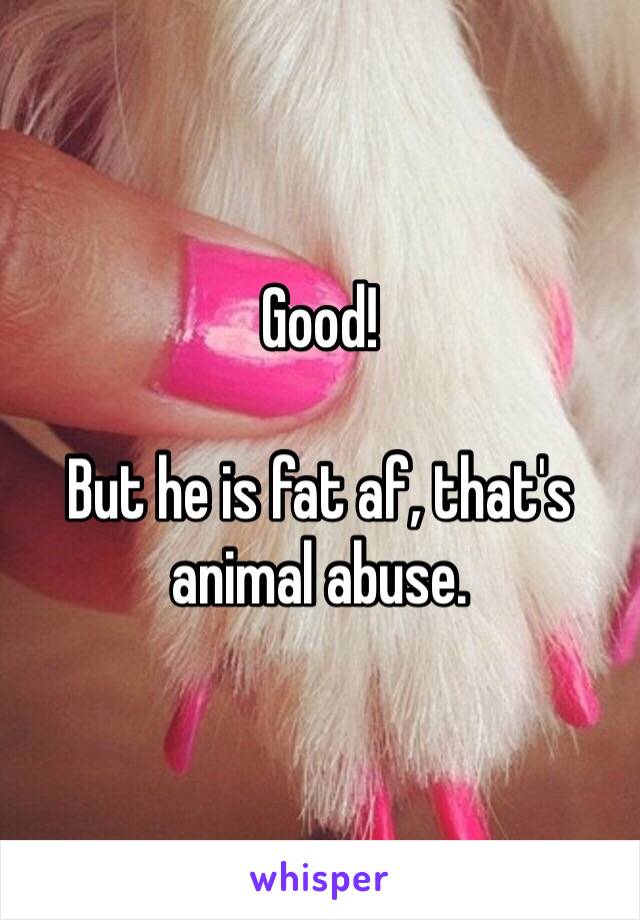 Good!

But he is fat af, that's animal abuse.