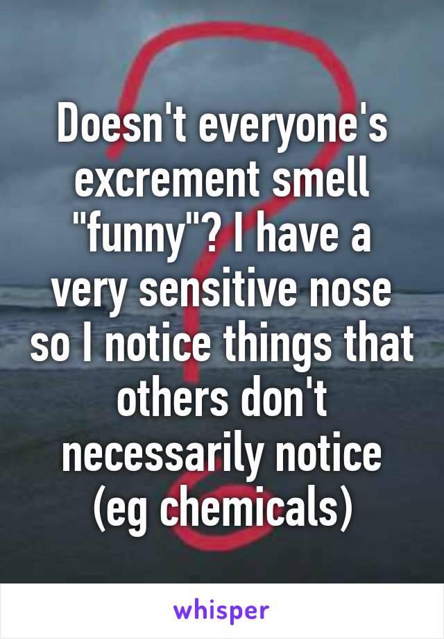 Doesn't everyone's excrement smell "funny"? I have a very sensitive nose so I notice things that others don't necessarily notice (eg chemicals)