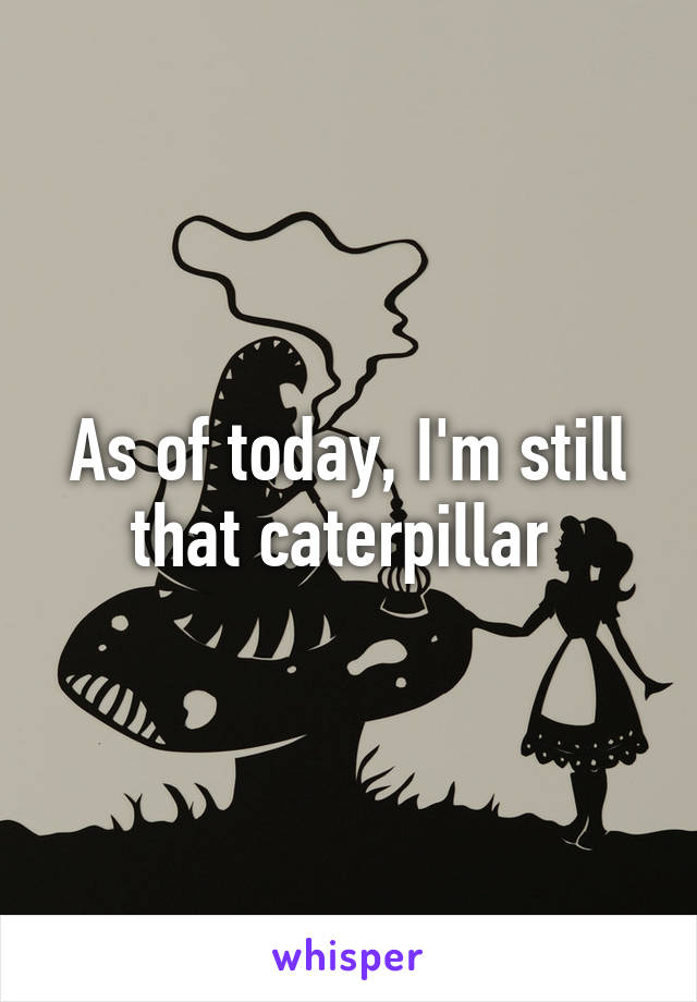 As of today, I'm still that caterpillar 