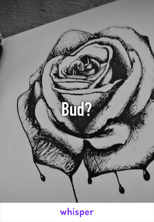 Bud?