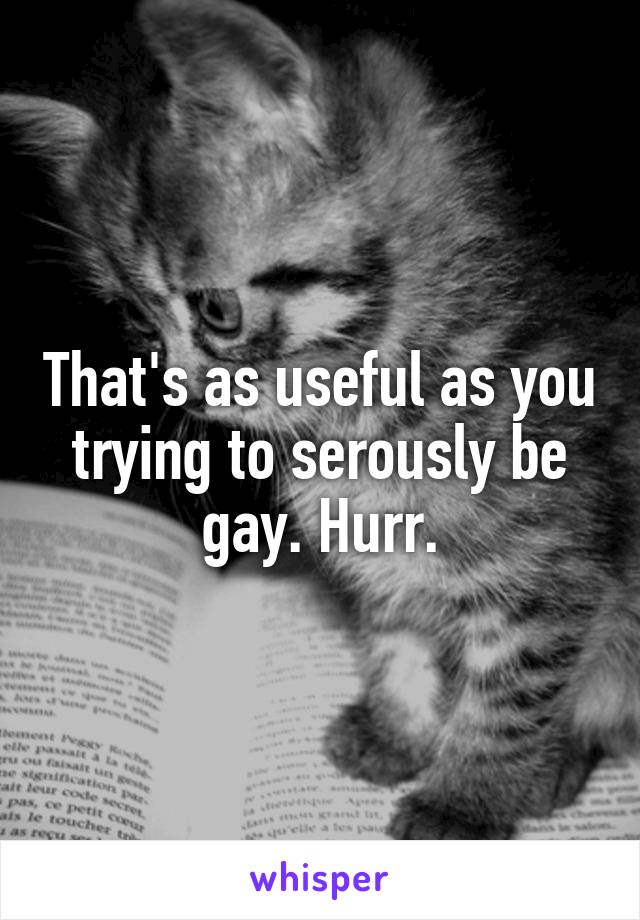 That's as useful as you trying to serously be gay. Hurr.