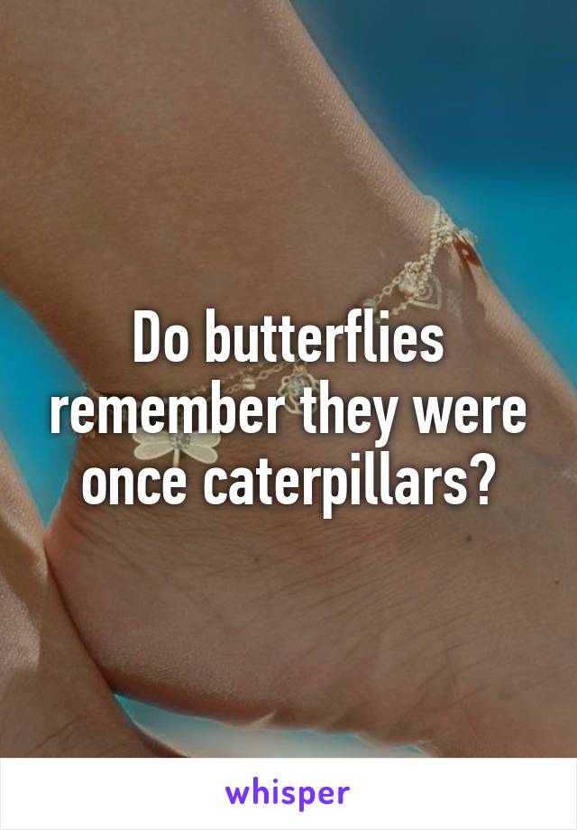Do butterflies remember they were once caterpillars?