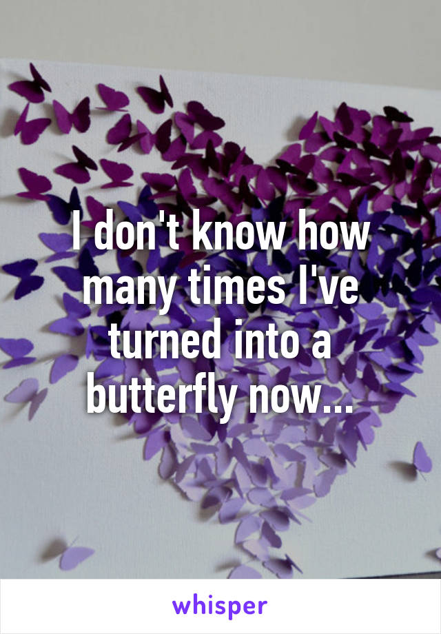 I don't know how many times I've turned into a butterfly now...