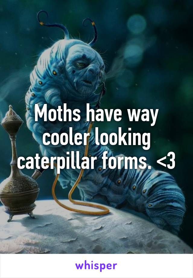 Moths have way cooler looking caterpillar forms. <3