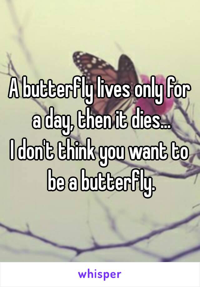 A butterfly lives only for a day, then it dies...
I don't think you want to be a butterfly.
